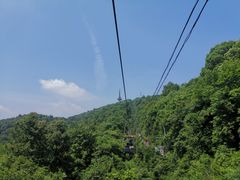 -MAMACHA妈妈茶(岳麓山店)