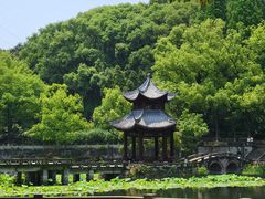 -忠山公园