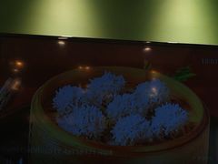 -孙家外婆•长春地标美食新名片(红旗街万达店)