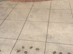 -星巴克烘焙中心