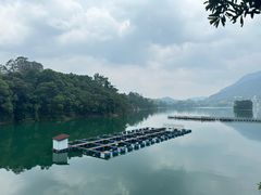 -广州市流溪河国家森林公园