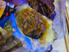 -昆山城市生态森林公园