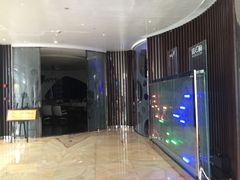 -诺莱仕游艇会