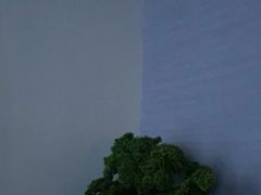 -上足·影院足道·SPA(红岭店)