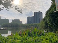 -杭州城北体育公园