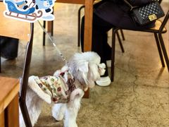 -东钱湖旅游度假区