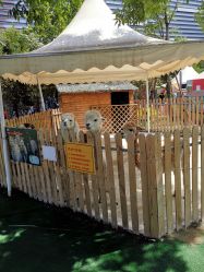 -萌宠亲子动物乐园(槐房万达店)