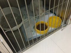 -瑞派宠物医院·24h·骨外科·皮肤科·全科宠物医疗转诊中心(沈阳浑南院)