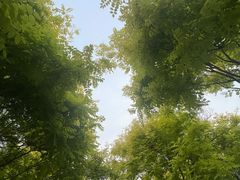 -南翠屏公园