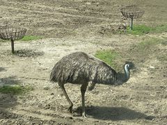 -西安秦岭野生动物园