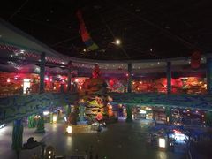 -青岛嘉年华主题乐园