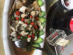 -陶缘一号·四季缘·老字号顺德菜·户外婚礼家宴(西滘店)