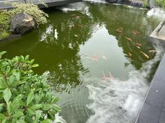 -雅苑中餐厅