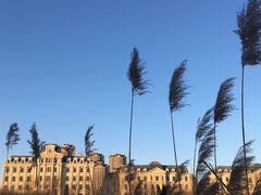 -天津东丽湖风景区