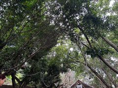 -悦哉·派对·草坪婚礼·围炉煮茶(三圣乡店)