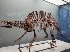 -湖南省地质博物馆