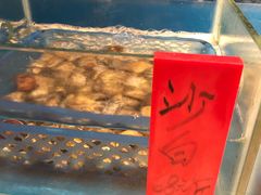 -采粤轩中餐厅(惠州金海湾喜来登度假酒店)