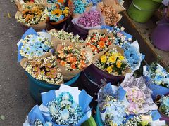 -循礼门鲜花花市(武汉循礼门店)