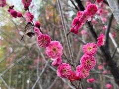 -东坡赤壁风景名胜区