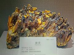 -湖南省地质博物馆