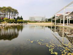 -丁家河公园