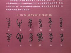 -衢州市博物馆