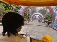 -洛阳市隋唐城遗址植物园