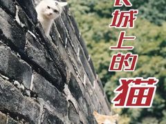 -八达岭长城