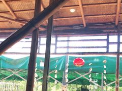 大堂-崖口红树林海鲜餐厅