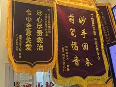 -悦宠凯宝动物医院·牙科·皮肤科(朝阳北路店)
