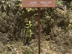 -广州市流溪河国家森林公园