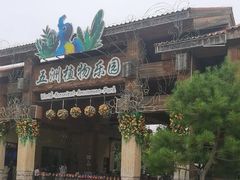 -南宫五洲植物乐园