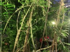 -一粥(华侨城创意文化园店)