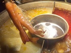 -九鼎轩脆毛肚火锅(商业街店)