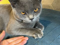 -IN COFFEE LAB 隐咖啡