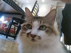 -万小咖.猫咖(中山路天虹店)