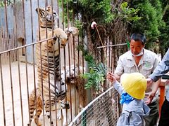 -青岛森林野生动物世界
