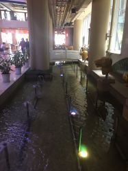 -沈阳市妇婴医院