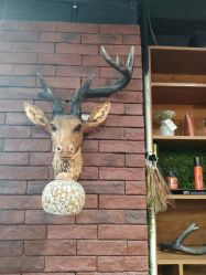 -小齐发型Star~Salon