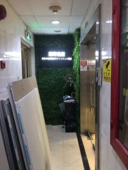点击看大图 -藤野造型
