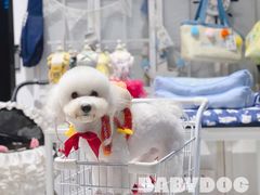 -BABYDOG宝贝狗宠物乐园(欧洲城店)