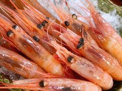 -银子铁板烧料理自助餐(人民广场店)