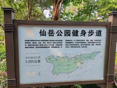 -仙岳公园