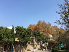 -紫金山天文台