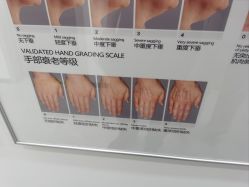 -ZELL·泽尔医疗美容