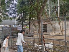 -厦门悦华酒店