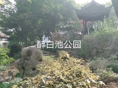 -上海醉白池公园
