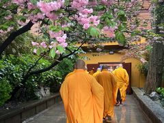 -龙华寺