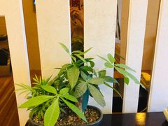 -苏州长江智选假日酒店