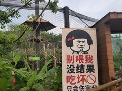 -武汉动物园